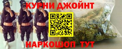 сатива Моздок