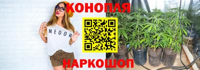 сатива Моздок
