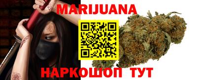 сатива Моздок