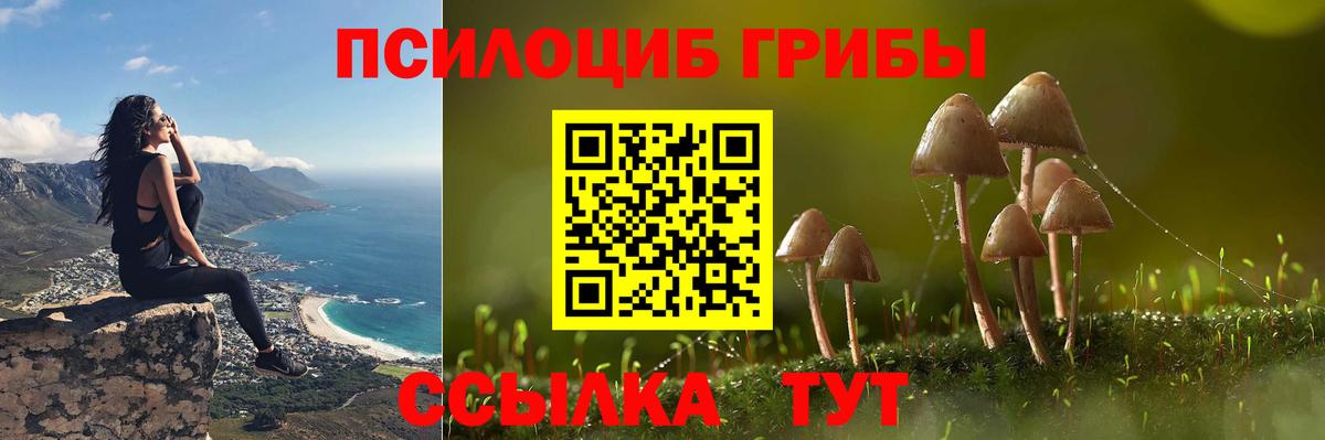 Галлюциногенные грибы Psilocybe Сыктывкар