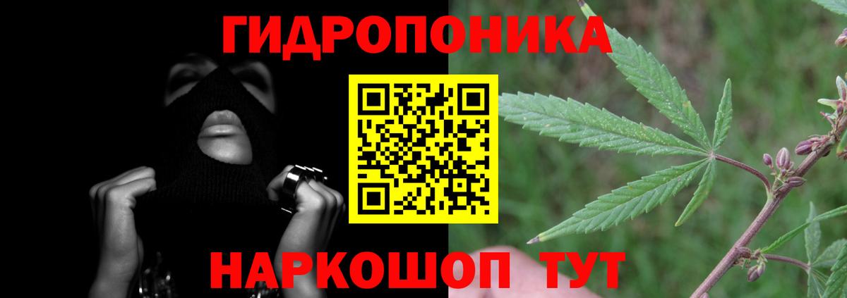 Шишки марихуана сатива  Вход с VPN  Марихуана планчик  Сыктывкар  Шишки марихуана ГИДРОПОН 